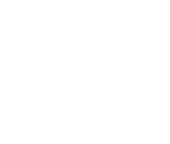 Visceral Manipulation